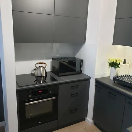 Апартаменты Apartament Czarny 449 Познань